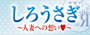 しろうさぎ