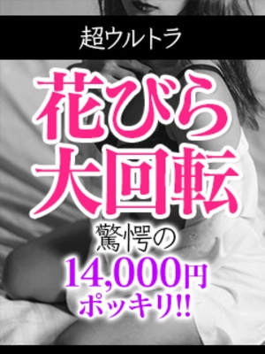 花びら/14000円