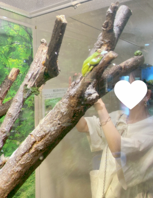 あやか 25歳