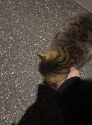 こと 25歳