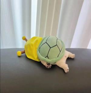 渋谷はのん 26歳