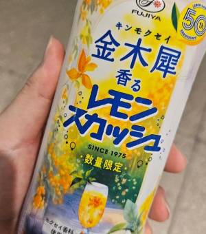 絢辻 まこと 28歳