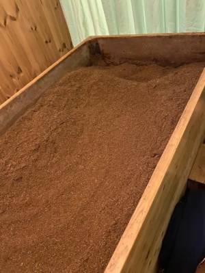 広末えれな 35歳