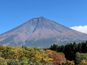 三谷まいか 34歳