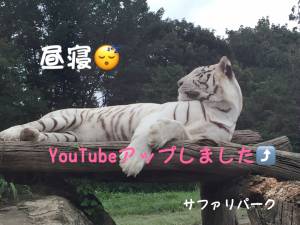咲子ママ 40歳