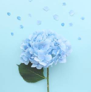 七瀬はる 36歳
