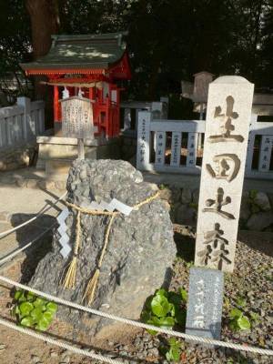 岸本いくみ 40歳