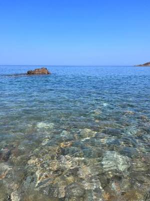 岸本いくみ 40歳