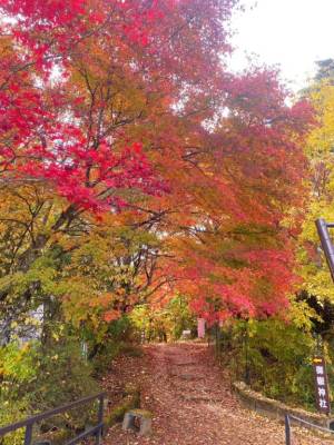 立花まいか 30歳