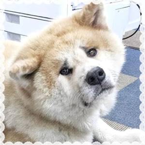 あやか 18歳