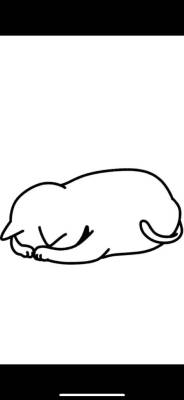 きょう 19歳