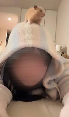 せな 18歳