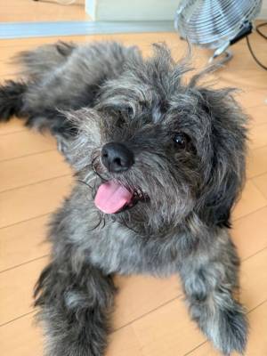 しお 20歳