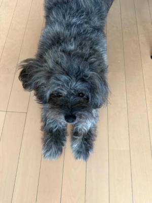 しお 20歳