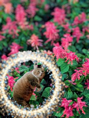 上杉(うえすぎ) 36歳