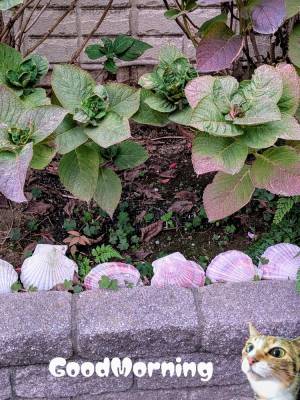 上杉(うえすぎ) 36歳