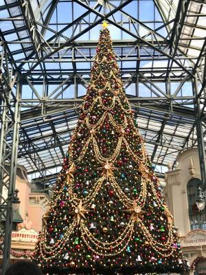 赤坂(あかさか) 35歳