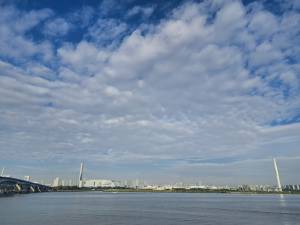 田中(たなか) 41歳