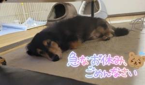 カスミ 27歳