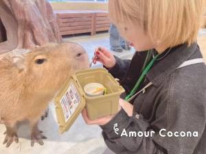 ココナ 25歳