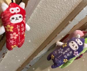ダイア 24歳