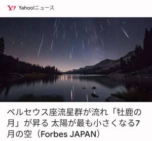 シノ 24歳