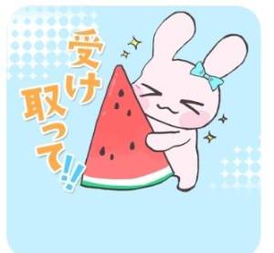 シノ 24歳