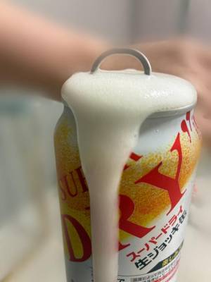 ホタル 20歳