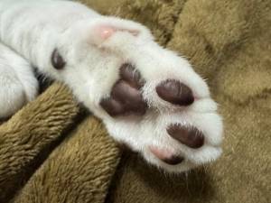 とわ 23歳