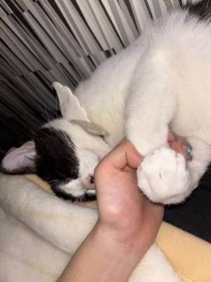 さくや 22歳