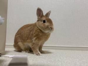 まほ 23歳