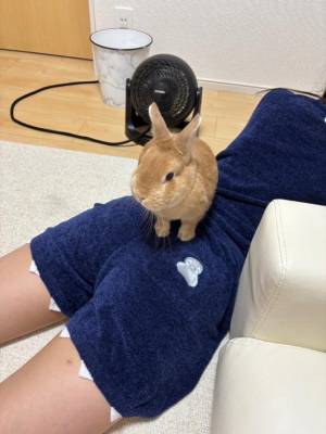 まほ 23歳