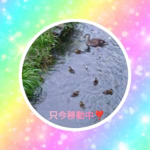 あんり 33歳