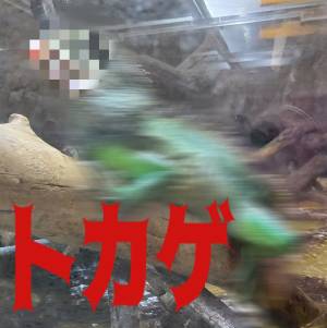 茜（あかね） 40歳
