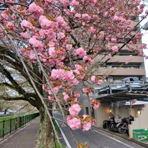 つむぎ 28歳