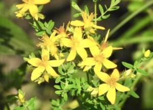 須藤しおり 51歳