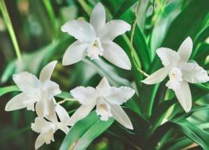 須藤しおり 51歳