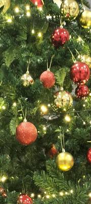 藤田さやか 39歳