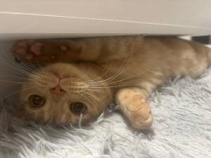 ひかる 25歳