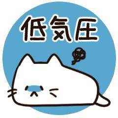 まみ 20歳