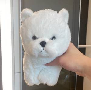 さくら 19歳