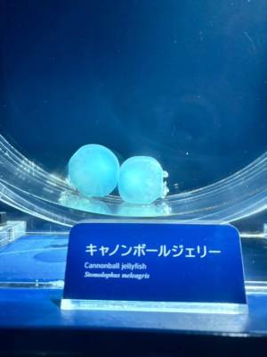 うみ 20歳