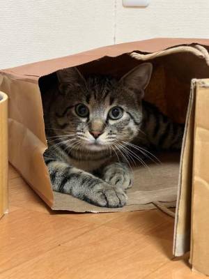 うみ 20歳