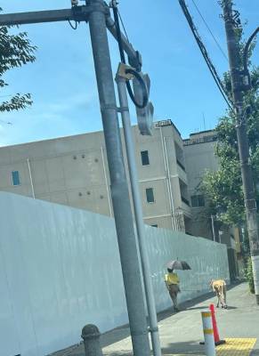 さやか 22歳
