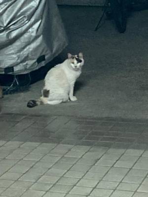 まみ 21歳