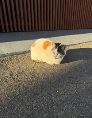 あや 20歳