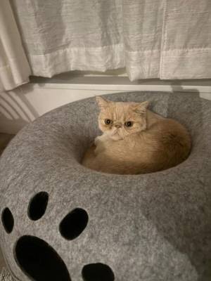 あや 20歳