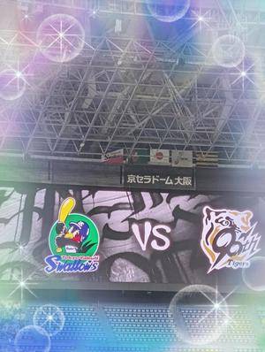 マミ 25歳