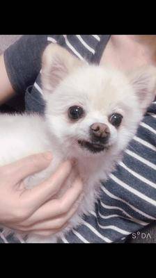 ツカサ 26歳