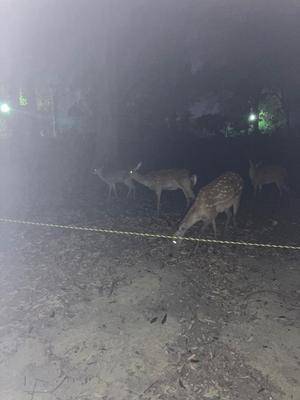 ミサキ 32歳